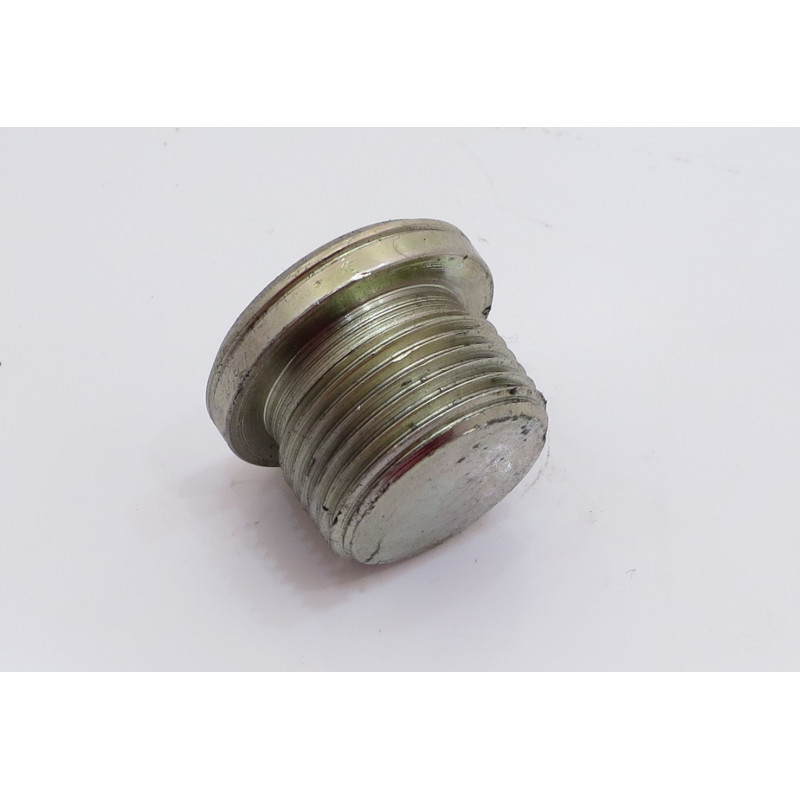 22 x 1.5 SOCKET HEAD BLANKING PLUG